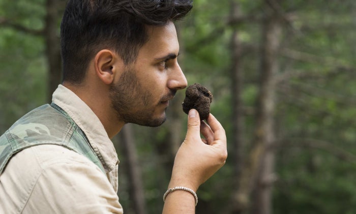 Truffle Hunting Waldorf Astoria Authentic Experiences
