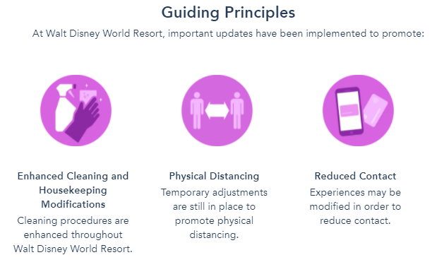 Walt Disney World Park Experience Safety Protocols