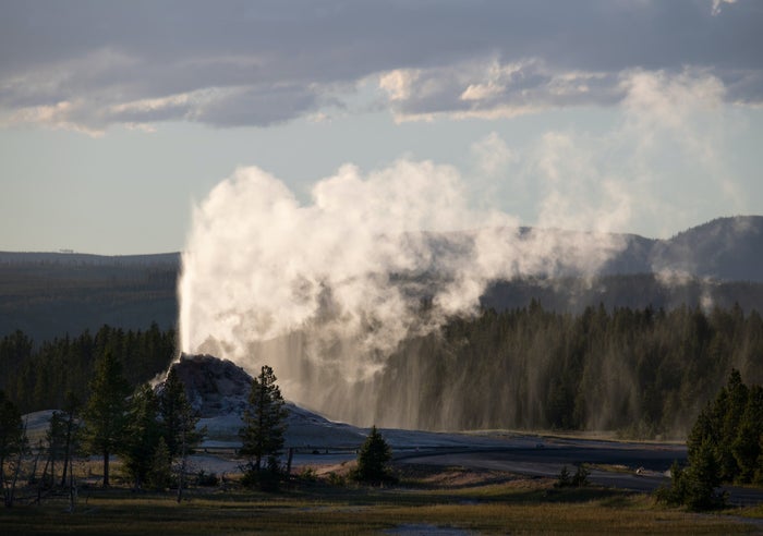 White Dome Geyser Yellowstone