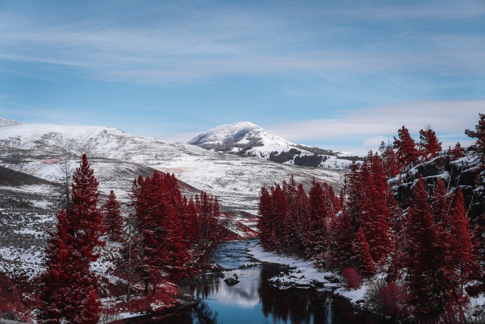 Winter in Yellowstone National Park