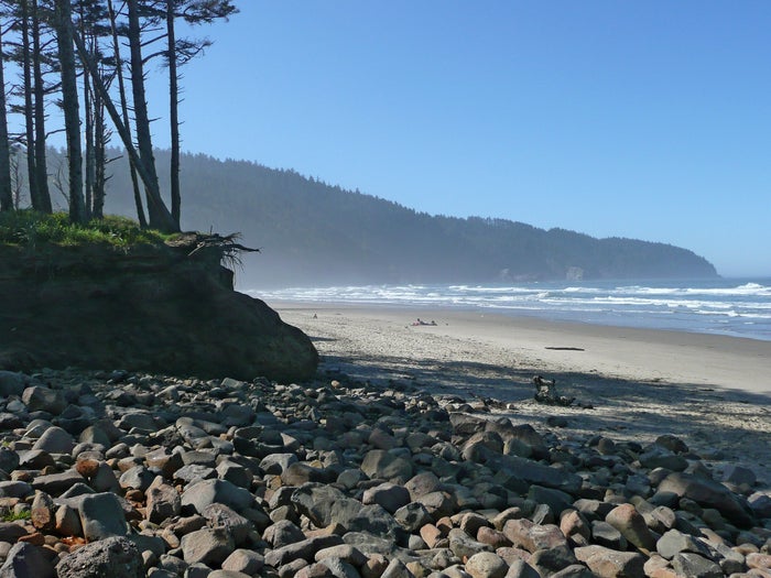 The 20 Best Beaches in California in 2025 [Northern, Central, and Southern Coasts]
