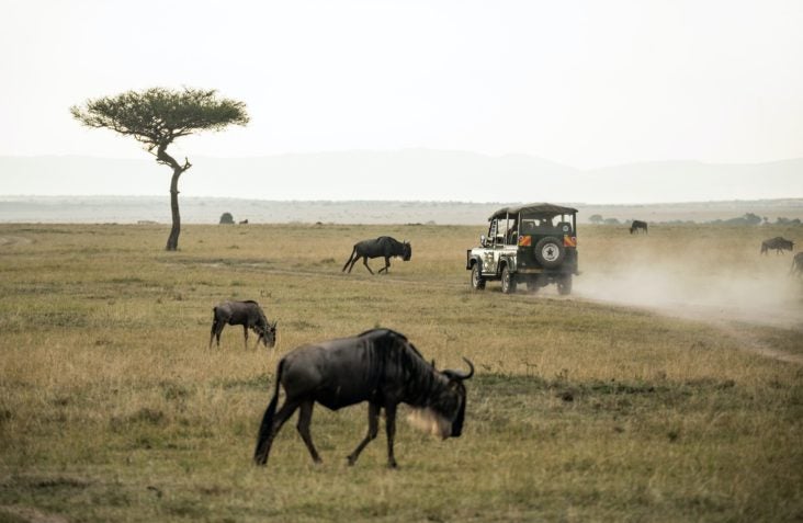 Contiki African Safari Contiki African Safari