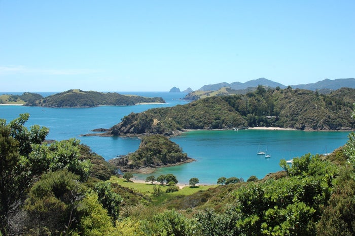 Contiki New Zealand Tour