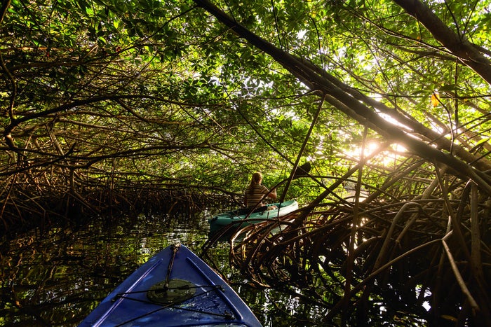 The 9 Best Kayak Roof Systems [2024]
