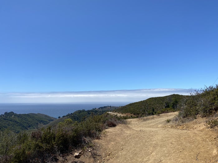 Pfeiffer State Park Buzzards Roost Trail