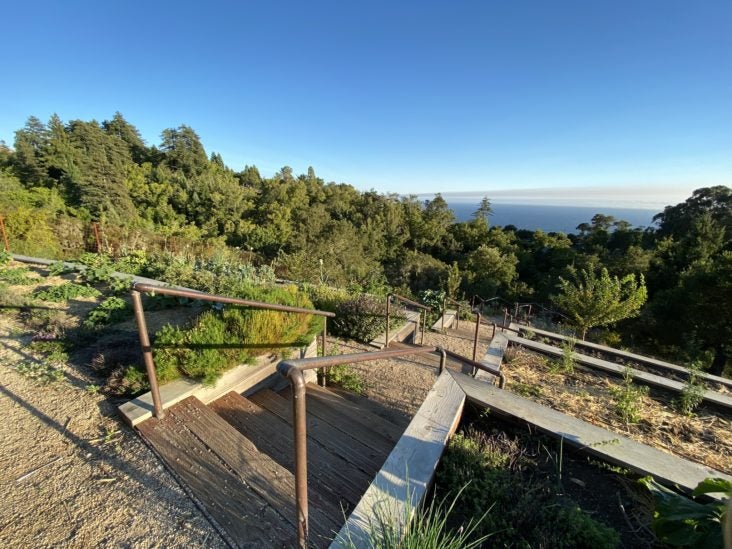 Ventana Big Sur an Alila Resort Organic Garden continued Ventana Big Sur an Alila Resort Organic Garden continued