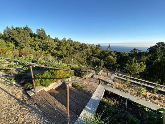 Ventana Big Sur an Alila Resort Organic Garden continued