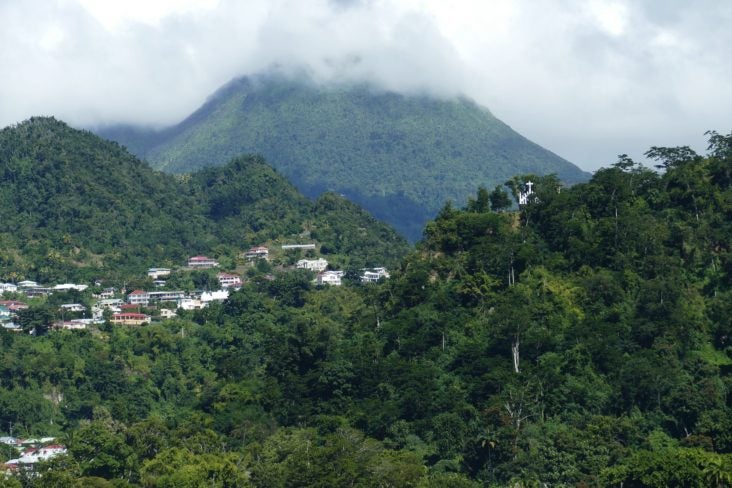 Dominica mountain forest Dominica mountain forest