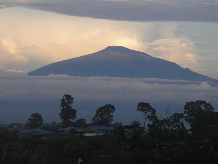 Equatorial Guinea Border Cameroon Equatorial Guinea Border Cameroon