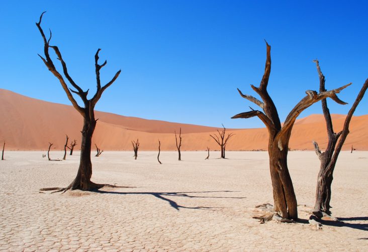 Namibia Deadvlei Namibia Deadvlei