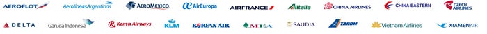 SkyTeam Airlines