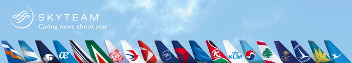 SkyTeam