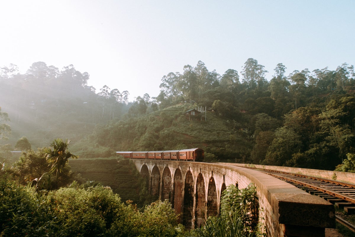 Sri Lanka Train Jungle