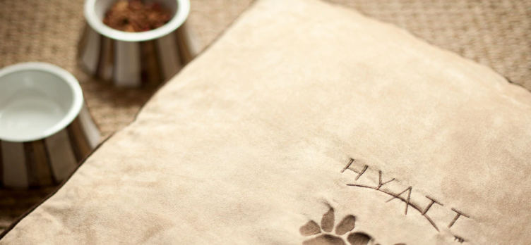 Dog Bed Pillow Hyatt Pet Friendly Program