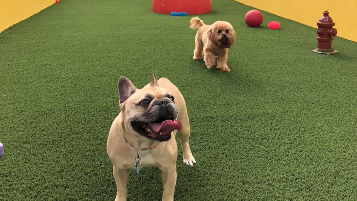 Hyatt Centric South Beach Miami Wooftop Park Hyatt Centric South Beach Miami Wooftop Park