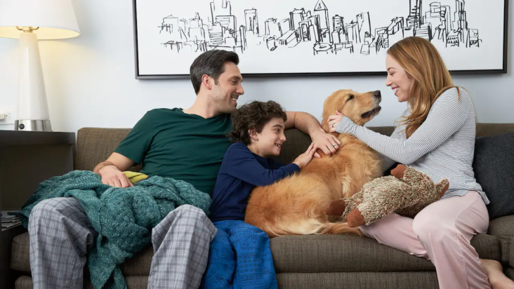 Hyatt House Dog Pet Friendly Hyatt House Dog Pet Friendly