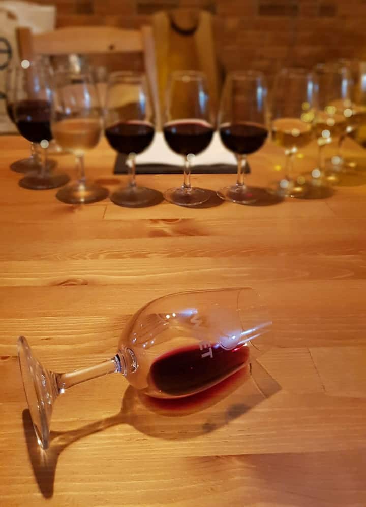 Wine Appreciation in Porto Airbnb Online Experience