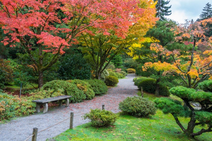 Washington Park Arboretum Washington Park Arboretum