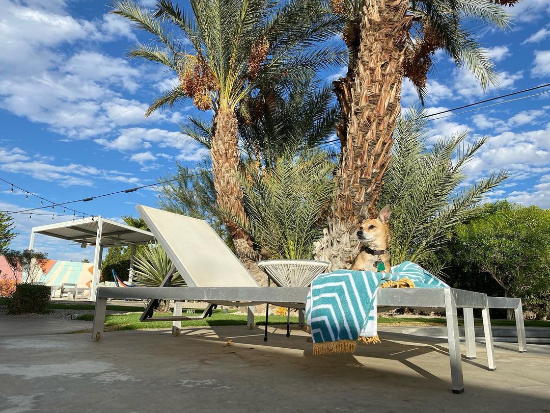 Billys Astro Lounge Palm Springs Hotels Villas Marriott