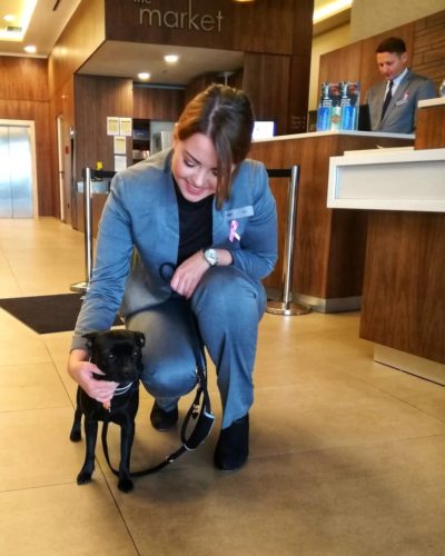 Courtyard by Marriott LAX Los Angeles Airport is not pet friendly Courtyard by Marriott Sarajevo dog