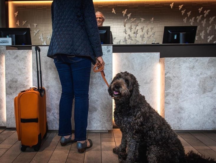 are dogs allowed in marriott hotels