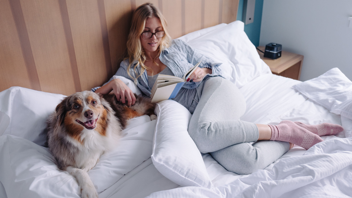 The best pet-friendly hotel in every state