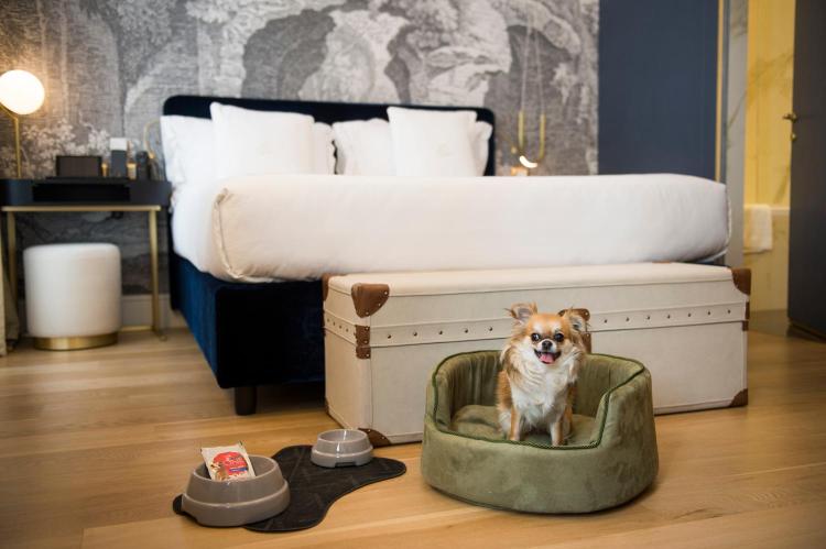 Elizabeth Unique Hotel dog