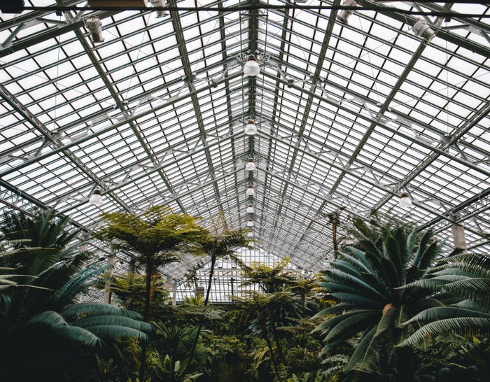 Garfield Park Conservatory Garfield Park Conservatory