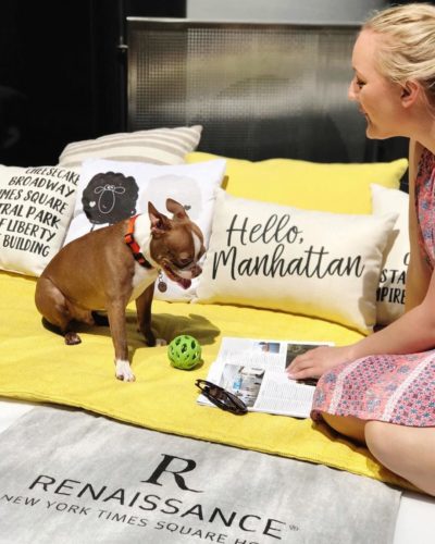 Renaissance Hotel NYC Dog friendly Renaissance Hotel NYC Dog friendly