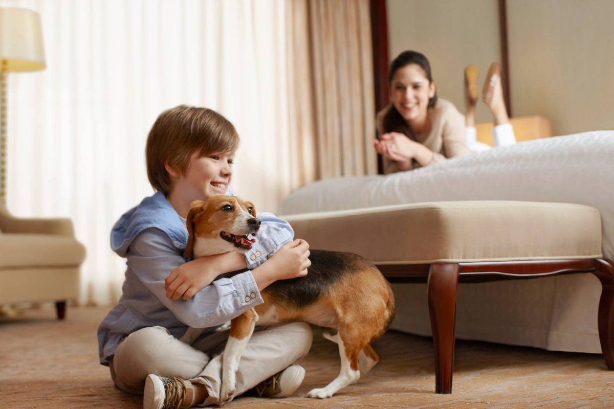 Sheraton Hotels and Resorts dog friendly