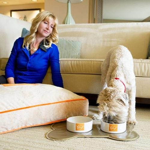 The Phoenician a Luxury Collection Resort Scottsdale Arizona is dog friendly The Phoenician a Luxury Collection Resort Scottsdale dog