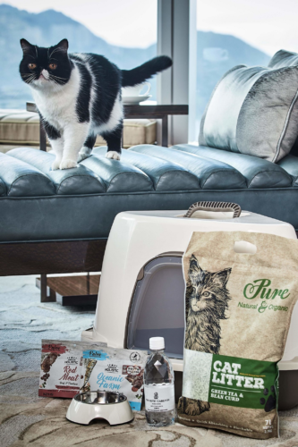 The Ritz Carlton Amelia Island Suite is pet friendly The Ritz Carlton Hong Kong cat