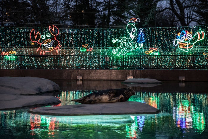 ZooLights at Lincoln Park Zoo ZooLights at Lincoln Park Zoo