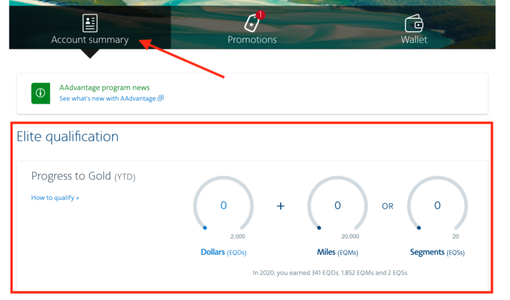 AAdvantage elite status account summary AAdvantage elite status account summary