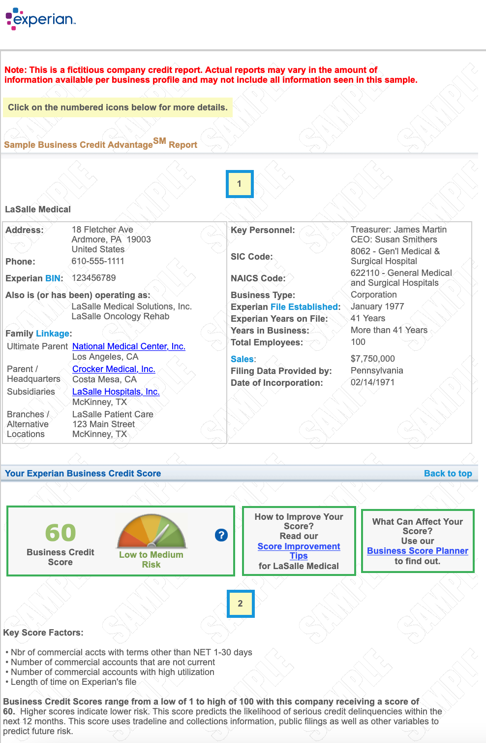 Example Experian Business Credit Report