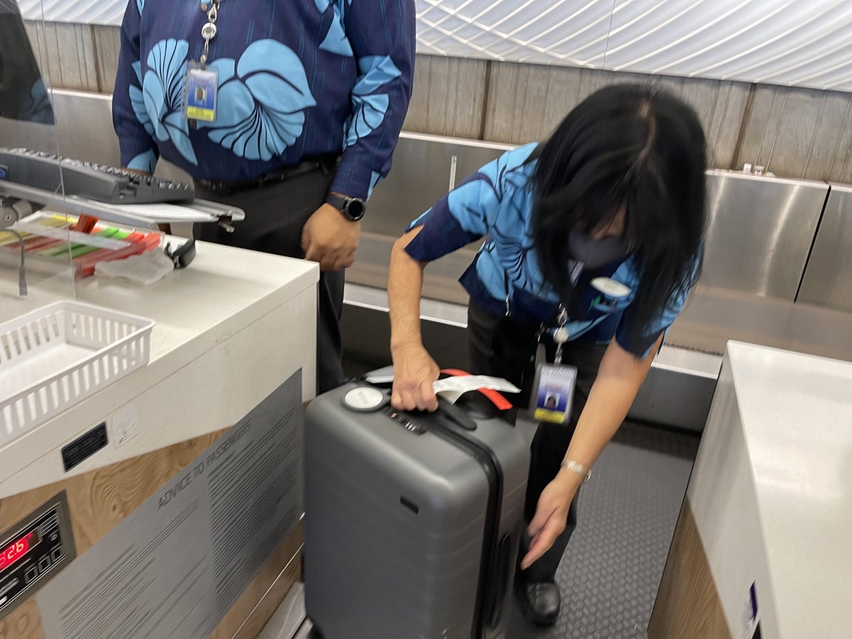 Hawaiian Airlines Checked Bags