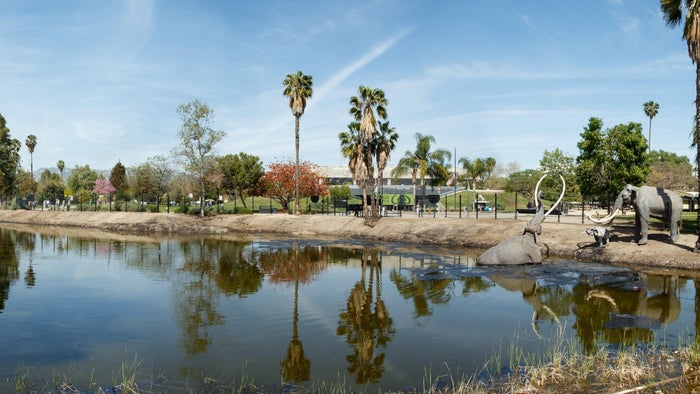 La Brea Tar Pits La Brea Tar Pits