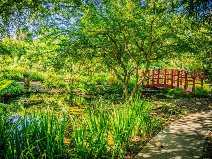 Miami Beach Botanical Garden Miami Beach Botanical Garden