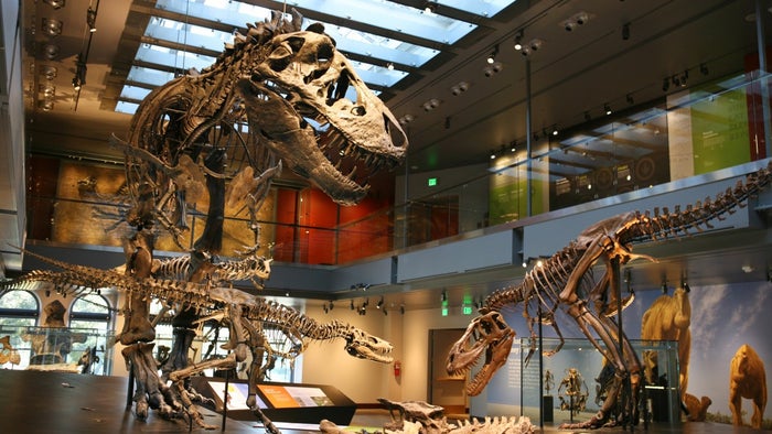 Natural History Museum Los Angeles Natural History Museum Los Angeles