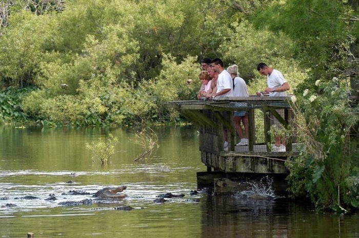 Orlando Gatorland
