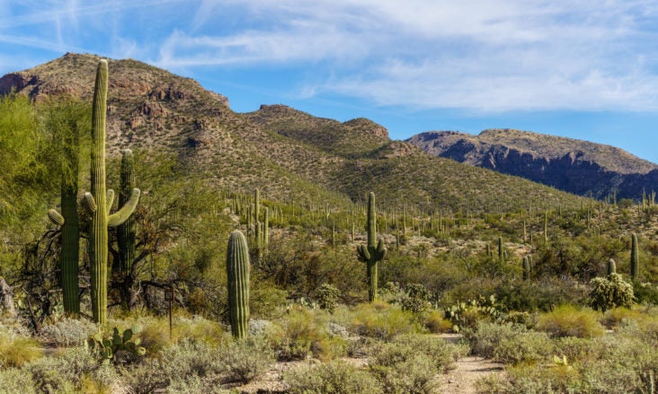 Sabino Canyon Sabino Canyon