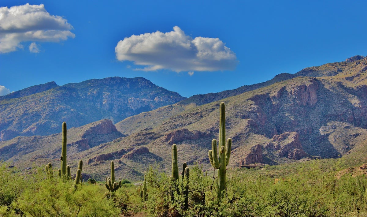 The 25 Best Things To Do in Tucson [Free, Kid-Friendly, Outdoor Activities]