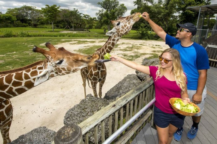 Zoo Miami Zoo Miami