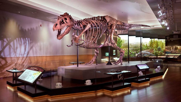 Denver Museum of Nature and Science