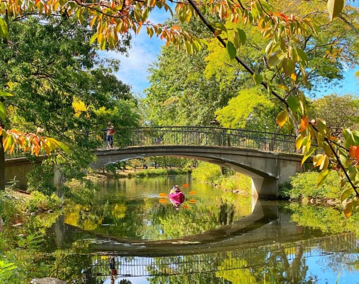 Boston Community Boating kayak rental in the Charles River Boston Community Boating kayak rental in the Charles River