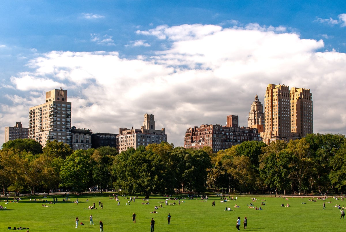 Central Park New York City by David Vives via Unsplash