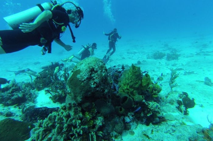 Cozamul Diving
