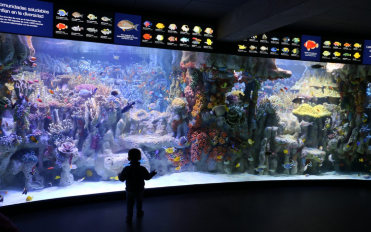 New England Aquarium tank New England Aquarium tank