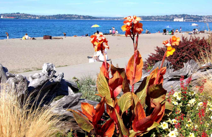 Alki Beach Park seattle Alki Beach Park seattle