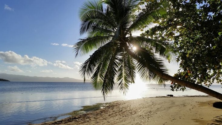 Fiji beaches and mountains Fiji beach and palm tree